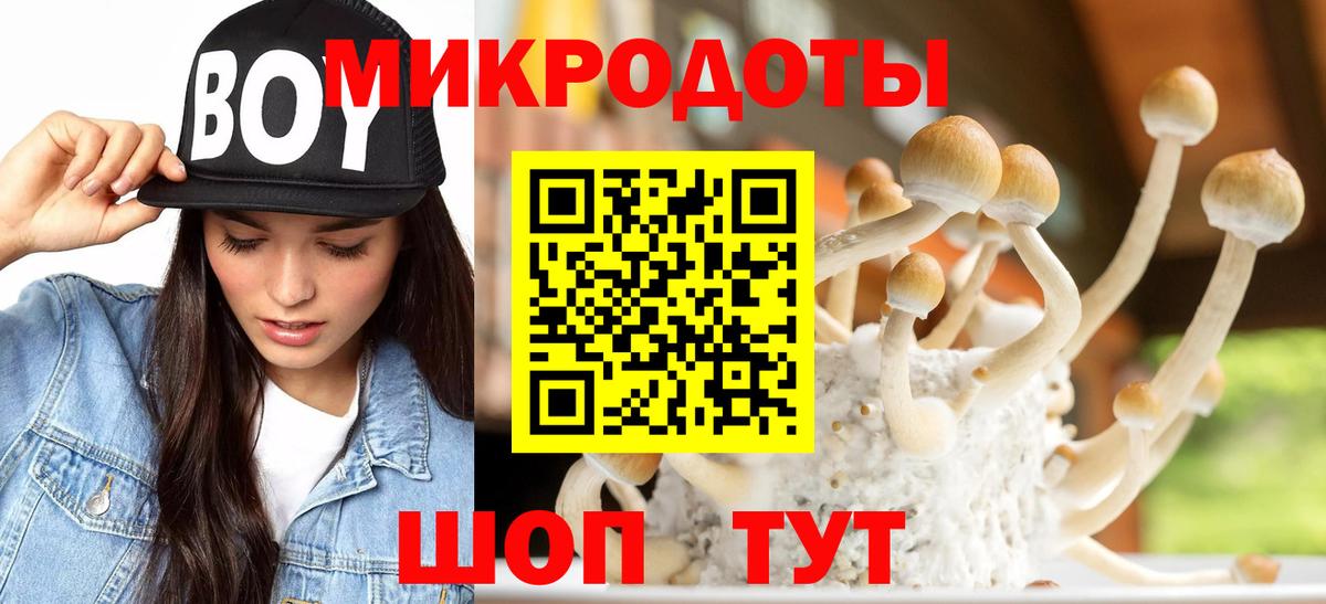 Галлюциногенные грибы мицелий Кирово-Чепецк